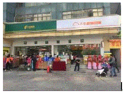 luohutianhongyouzheng1