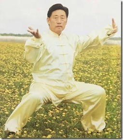 陈氏太极