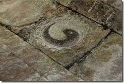 太极底板阴阳图