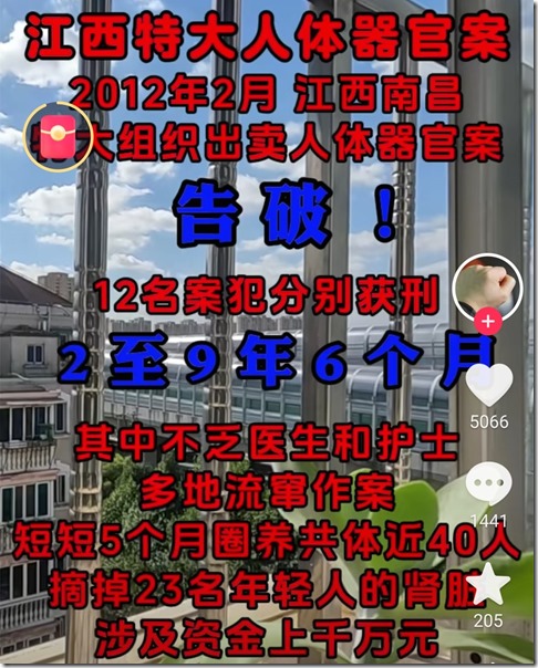 江西特大人体器官岸告破